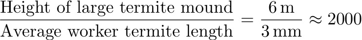 latex-image-2.jpg