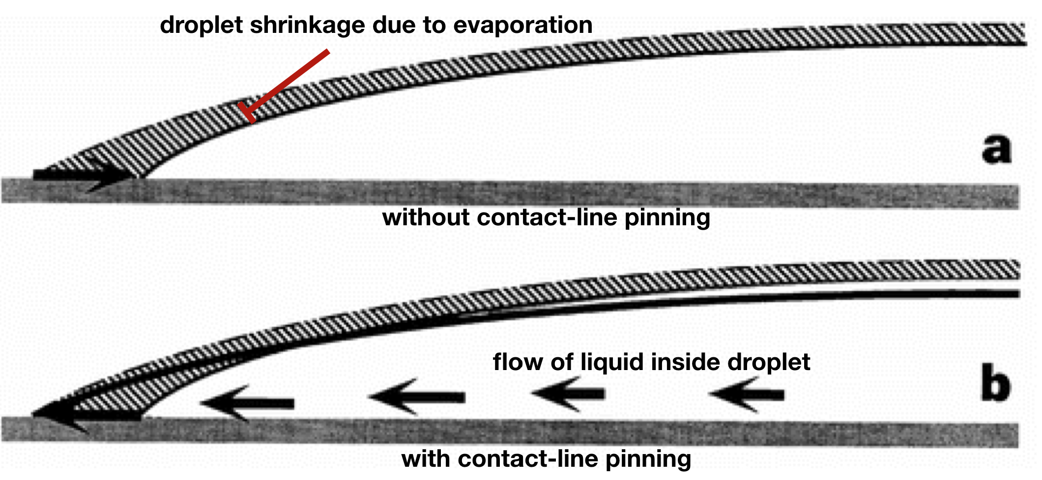droplet cross sections