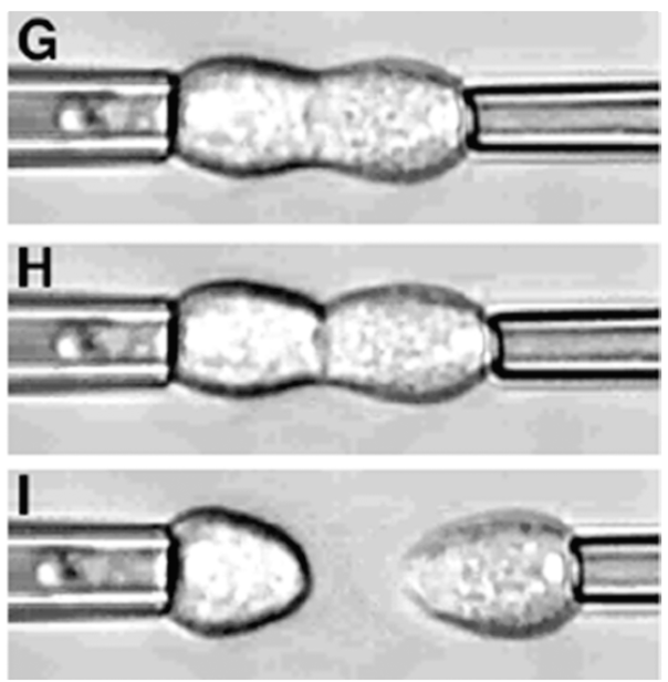 fig-03