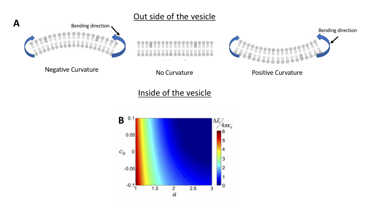 Fig2