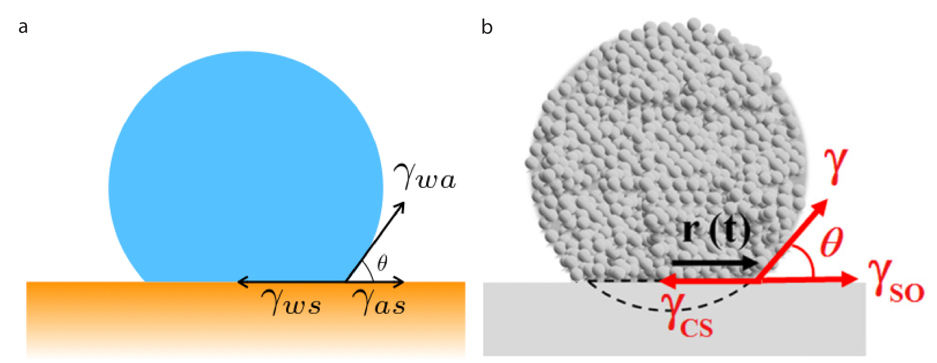 fig-02