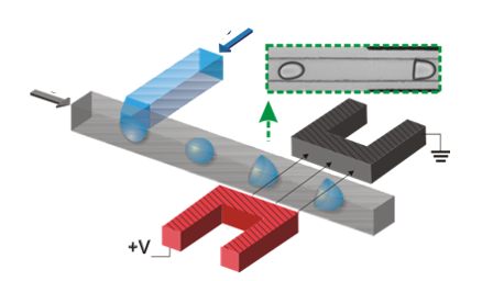 figure 2 post 2
