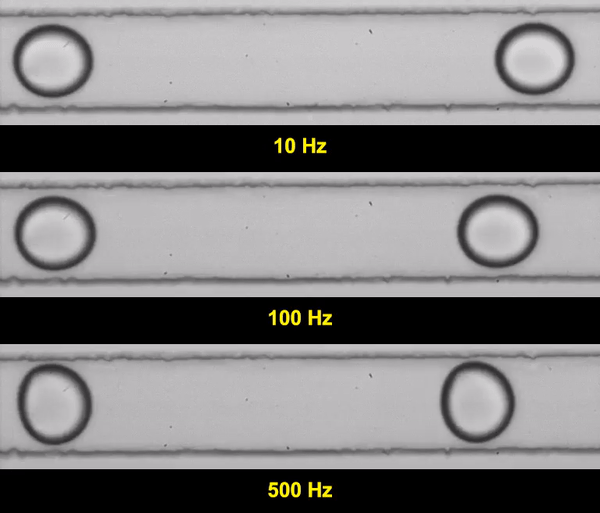 Figure 5 post 2.gif