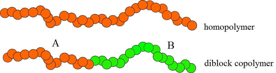 figure 1.homopolymers