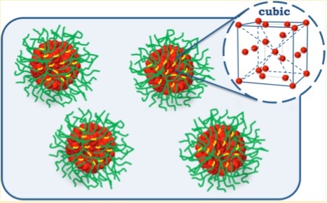 Figure 3. Nanoparticles scheme