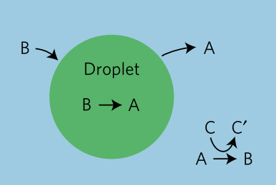 modelSchematic_fig1b