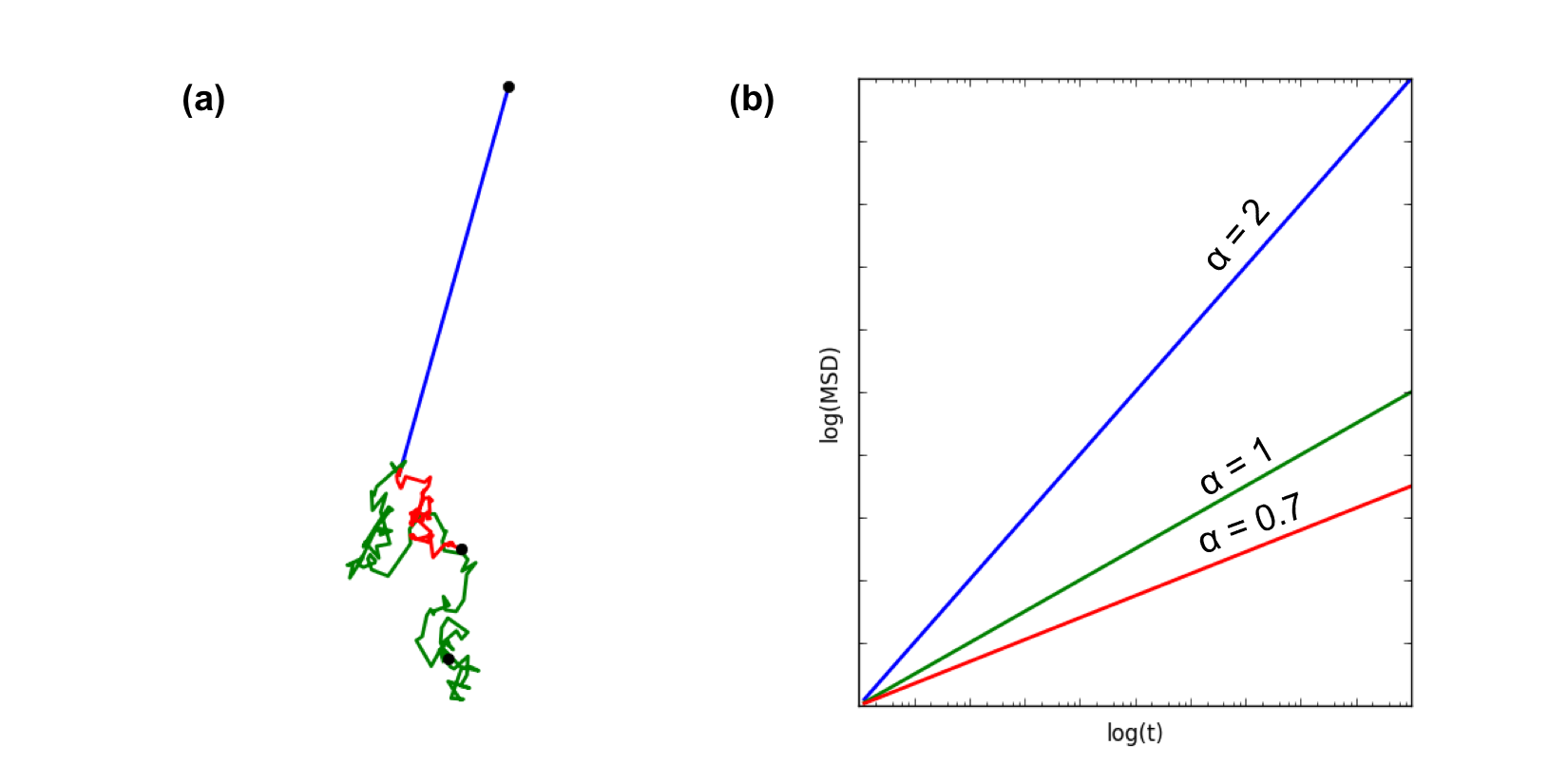msd_2plots_anno2