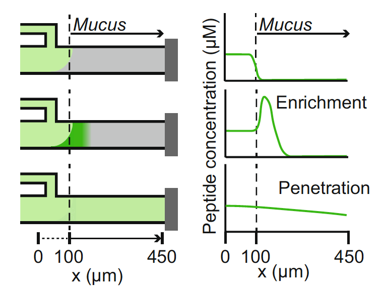 mucus_microfluidic