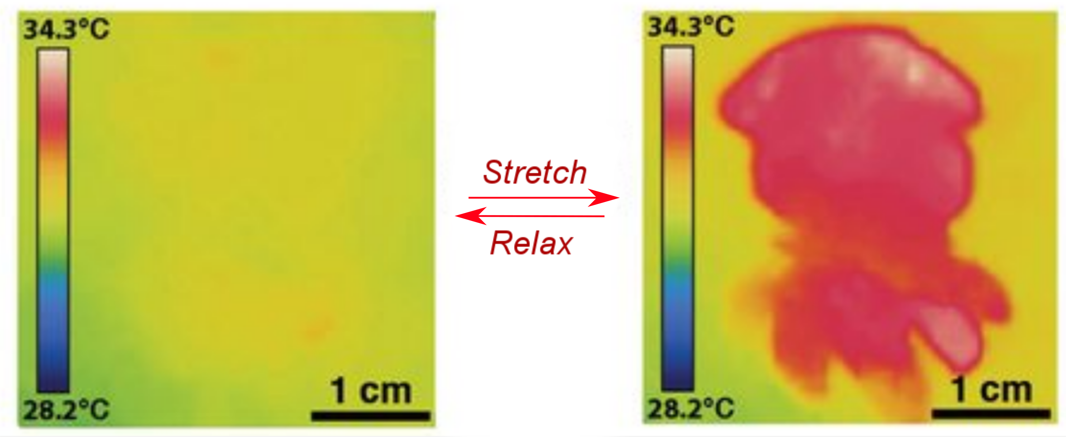 InfraInvisibleSquidShape_Fixed (1)