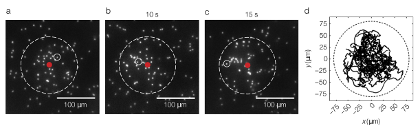 figure1