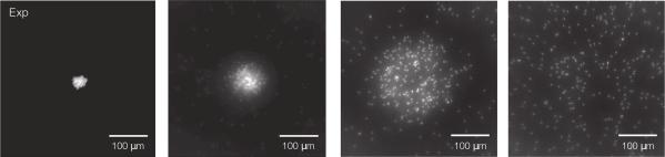 figure2
