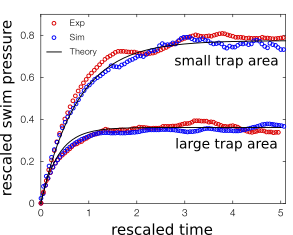 figure3