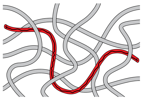 A schematic of the reptation model