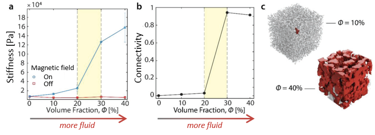 On the left, a graph of stiffness as a function of the fluid volume fraction. In the middle, a graph of connectivity as a function of the fluid volume fraction. On the right, two 3D construction of material's internal structure, one representing 10% fluid and the other representing 40% fluid.