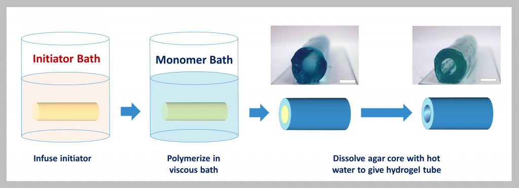 Colorful cartoon schematic showing the stepwise process to make polymer hydrogel tubes with two photographs showing the finished tubes.